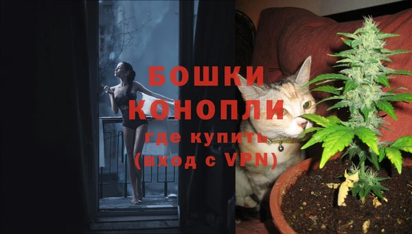 спайс Баксан
