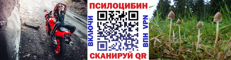 Псилоцибиновые грибы MAGIC MUSHROOMS  Мглин 